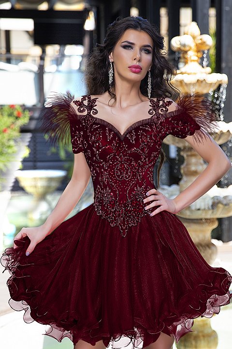 Burgundy princess dress with embroidered bodice.