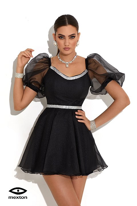 Short black princess style dress