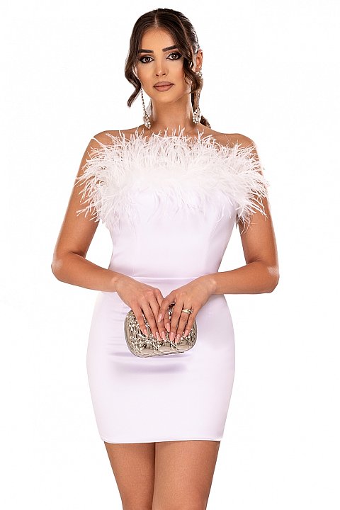 Elegant short dress with feathers